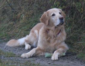 Aika am Sodenberg im Oktober 2009