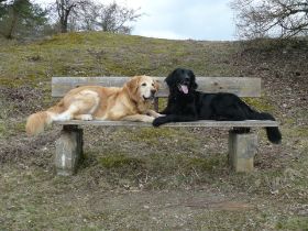 Aika und Calinka im März 2010