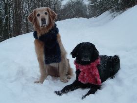 Aika und Calinka im Dezember 2010