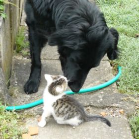 Calinka mit Katerchen Carlson