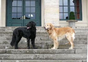 Aika und Calinka im Staatsbad Bad Brückenau