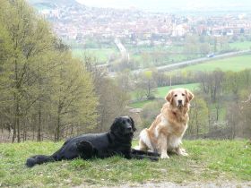 Calinka und Aika im Mai 2009